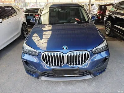 2021 BMW X1 sDrive25Li Leading, фото 3, лот 11067213