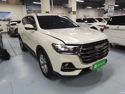 2021 Haval H6 Model National Trend Edition 1.5T Auto Champion, фото 4, лот 10285598