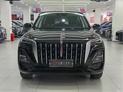 2023 Hongqi HS5 2.0T Flag Enjoy Pro Edition, фото 2, лот 10288305