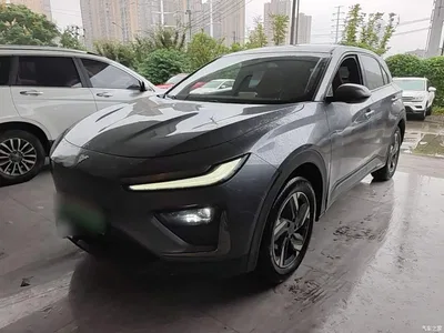 2023 Nezha Auto Nezha X Model 500 Lite, фото 1, лот 11215691