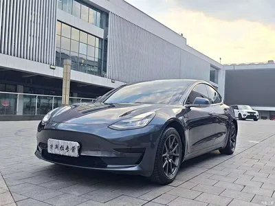 2020 Tesla Model 3 Standard Range Rear-Wheel Drive Upgrade, фото 1, лот 10360032