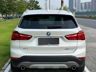 2018 BMW X1 xDrive20Li Premium Model, фото 4, лот 10466657