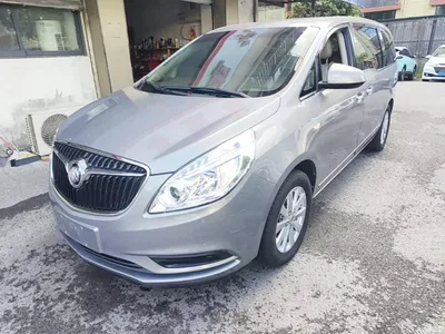 2018 Buick GL8 28T Luxury Model China VI, фото 2, лот 10261767