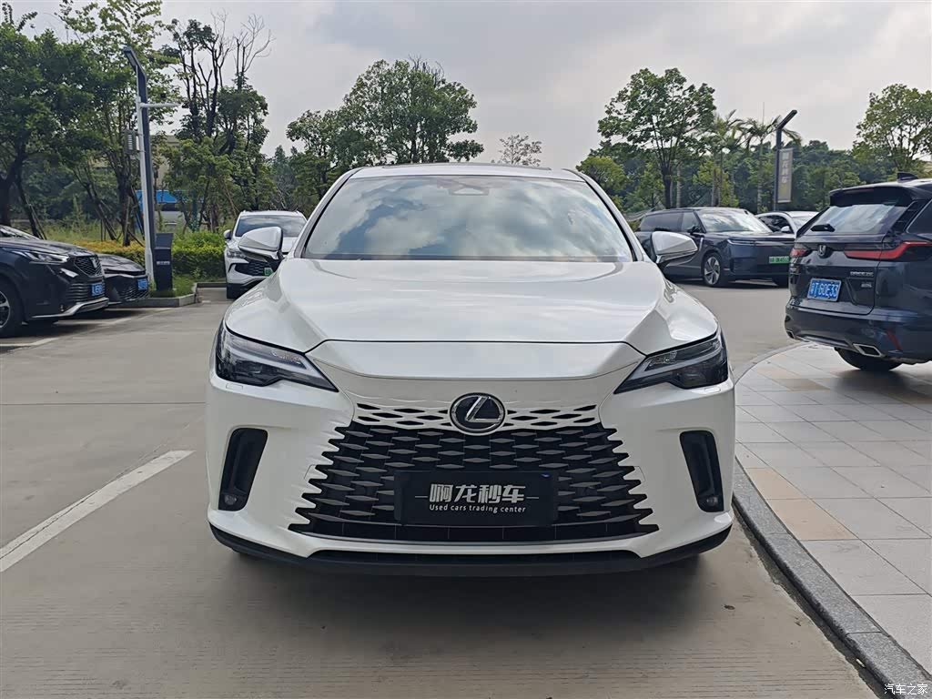2025 Lexus RX 300 4WD Premium Edition, фото 3, лот 11216080