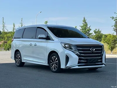 2021 GAC Trumpchi Trumpchi M8 Leading Show Series 390T Premium Edition, фото 4, лот 10418302