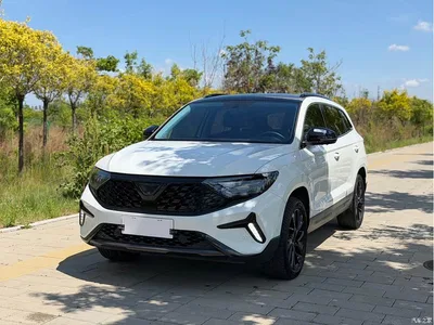 2022 Jetta VS7 Panda Edition 1.4T Automatic Glory Pro, фото 1, лот 10427052