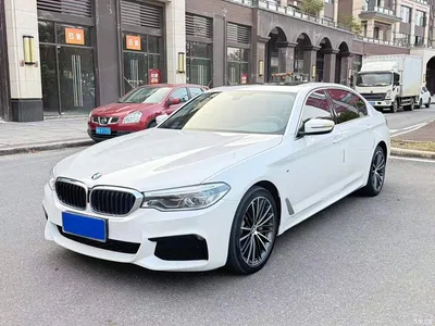 2020 BMW 5 Series 530Li Leading M Sport Package, фото 1, лот 11184237