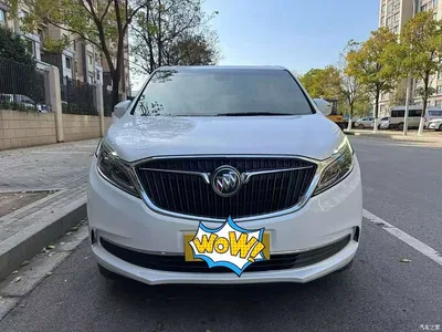 2017 Buick GL8 ES 28T Luxury China V, фото 2, лот 10255442