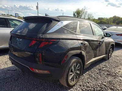 2024 HYUNDAI TUCSON BLUE, фото 3, лот 10746066
