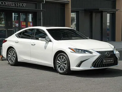 2023 Lexus ES 200 Excellence Edition, фото 3, лот 10443868