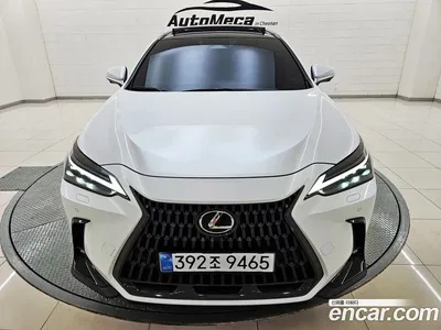 2025 Lexus NX 350h Luxury, фото 1, лот 10212742