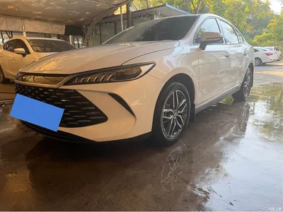 2025 BYD Qin PLUS DM-i Smart Drive 55KM Leader, фото 3, лот 10404234