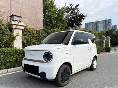 2024 Geely Galaxy Panda 200km Panda Kart, фото 1, лот 11137686