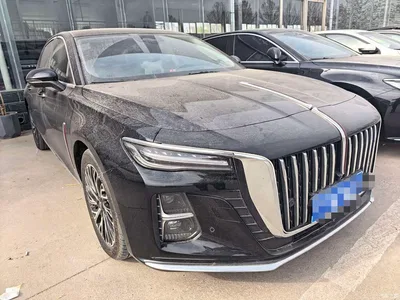 2025 Hongqi H5 2.0T Automatic Flag Celebration 500,000 Units Anniversary Edition, фото 3, лот 10288395
