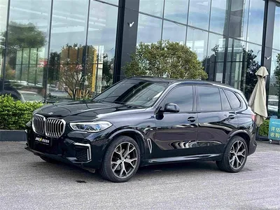 2022 BMW X5 Facelift xDrive 40Li M Sport Package, фото 1, лот 10462963