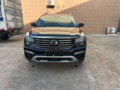 2017 GAC Trumpchi Trumpchi GS8 320T 2WD Luxury Smart Connect (7-seater), фото 2, лот 10419602