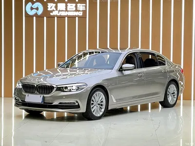 2019 BMW 5 Series 530Li Leading Luxury Package, фото 1, лот 11095002