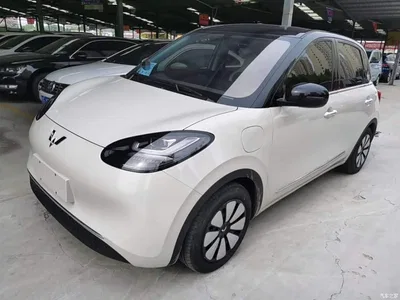 2024 Wuling Motors Wuling Bingo 333km Comfort Edition, фото 1, лот 10371936