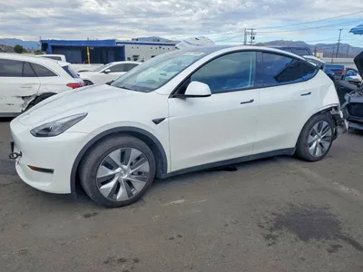 2024 TESLA MODEL Y, фото 1, лот 10856460
