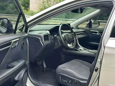 2020 Lexus RX 300 2WD Elite Edition China V, фото 4, лот 10405633