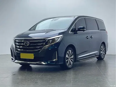 2020 GAC Trumpchi Trumpchi M8 Pilot 390T Flagship Edition, фото 1, лот 10415304