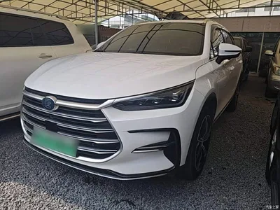 2021 BYD Tang New Energy DM-i 112KM Premium, фото 2, лот 11137852