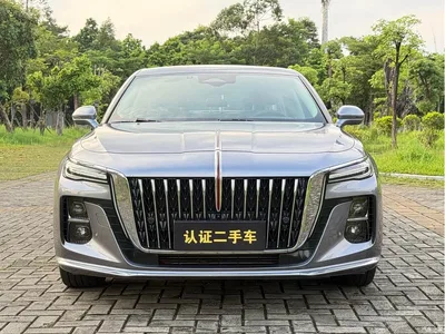 2023 Hongqi H5 2.0T Auto Smart Connect Flag Comfort, фото 1, лот 10304141