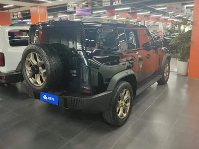 2024 Jetour Traveler 2.0T AWD Yueye PRO, фото 3, лот 10434230