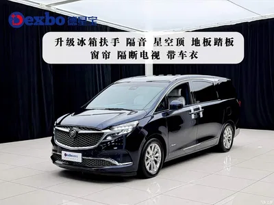 2021 Buick GL8, фото 1, лот 10244705
