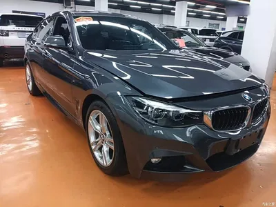 2019 BMW 3 Series GT 320i M Sport Package, фото 4, лот 11249918