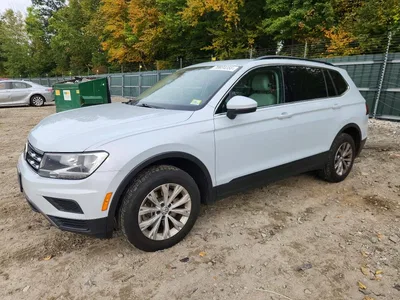 2019 VOLKSWAGEN TIGUAN SE, фото 1, лот 11185323