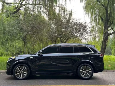 2024 Li Auto Li L8 Max, фото 4, лот 10824622