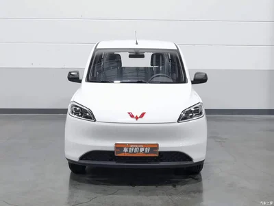 2024 Wuling Motors Wuling Hongguang New Energy Model Pure Electric 300KM Utility Version, фото 3, лот 11167518