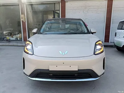 2025 Wuling Motors Wuling Bingo S Model 325km Flagship Edition, фото 3, лот 10835966