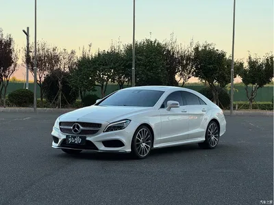 2017 Mercedes-Benz CLS 320 Elegance Edition, фото 1, лот 11089517