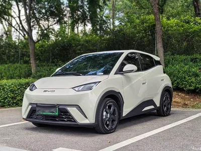 2024 BYD Seagull Glory Edition 305km Freedom Edition, фото 1, лот 11178387