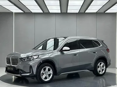 2023 BMW X1 sDrive20Li X Design Package, фото 1, лот 10466552