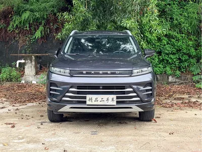 2023 Exeed Windchaser 1.5T CVT Windrider Edition, фото 3, лот 11152074