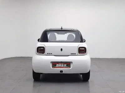 2021 Ora Black Cat 351km Standard Model, фото 4, лот 10459987