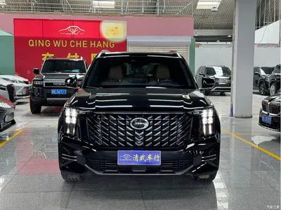 2025 GAC Trumpchi Trumpchi GS8 Pilot Series 2.0TGDI 2WD Luxury Edition 5-seater, фото 2, лот 10416564