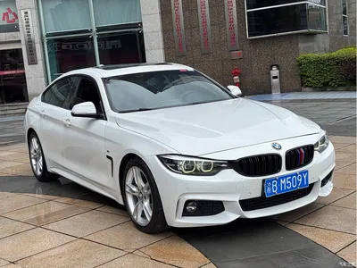 2017 BMW 4 Series 425i Gran Coupe Leading M Sport Package, фото 3, лот 10468815