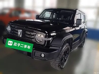 2025 Tank 300 2.0T Challenger, фото 3, лот 10345481