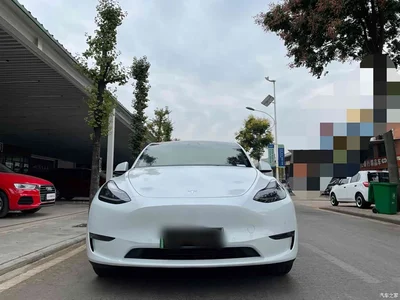 2022 Tesla Model Y Rear-Wheel Drive Version, фото 2, лот 10453989