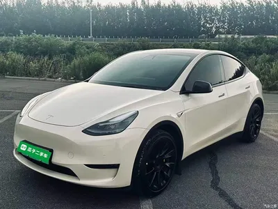 2021 Tesla Model Y Standard Range Rear-Wheel Drive, фото 2, лот 10375634