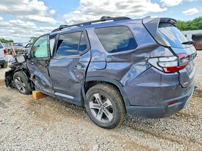 2024 HONDA PILOT EXL, фото 2, лот 10693754