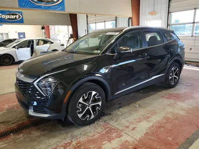 2024 KIA SPORTAGE EX, фото 1, лот 10786806