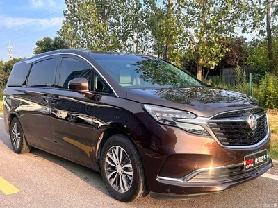 2020 Buick GL8 Model ES Landglory 653T Comfort, фото 3, лот 10250398