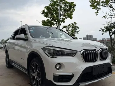 2016 BMW X1 sDrive18Li Luxury Model, фото 3, лот 10467953