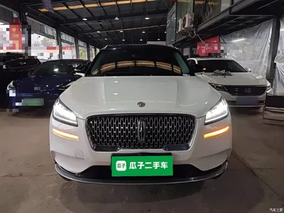 2021 Lincoln Adventurer 2.0T 2WD Exclusive Edition, фото 3, лот 10357532