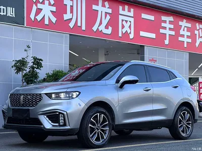 2021 WEY VV5 1.5T 2WD Smart Pioneer, фото 1, лот 10888640